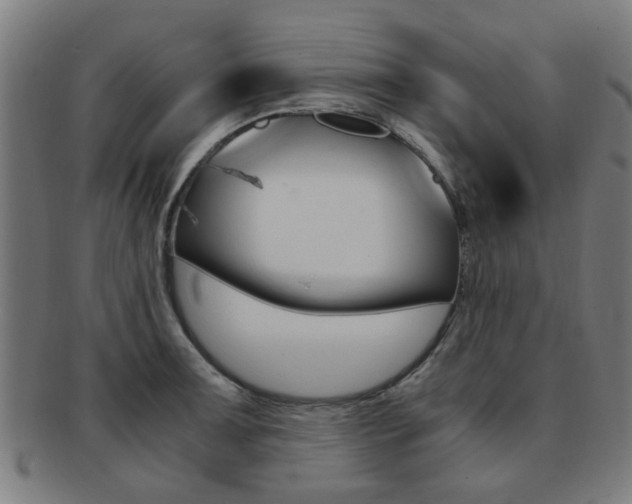 X0000091901091200709051059
