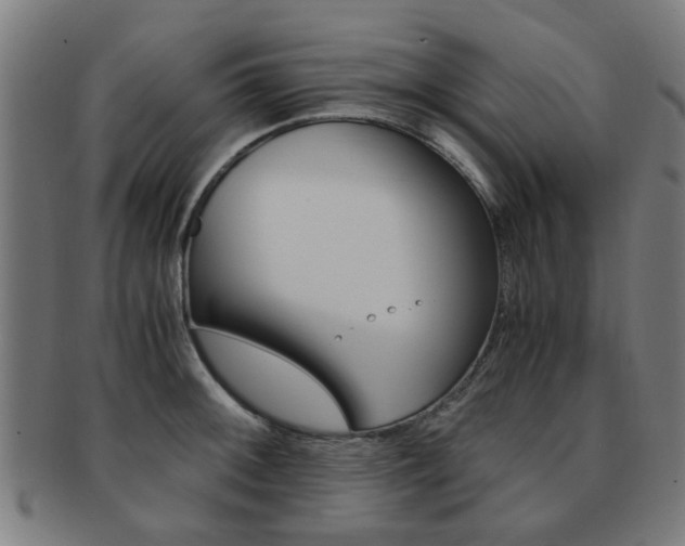 X0000091901092200709051059