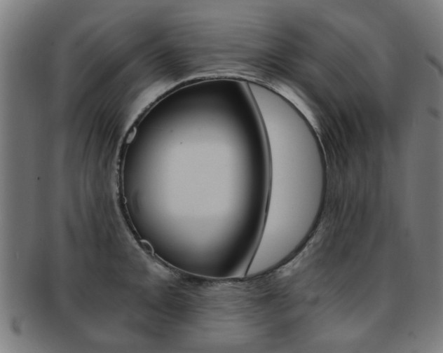 X0000091901093200709051059