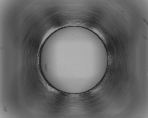 X0000091901094200709051059