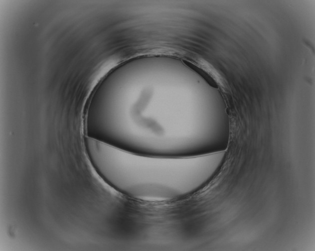 X0000091901095200709051059