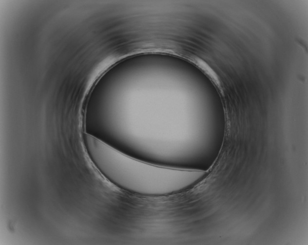 X0000091901096200709051059