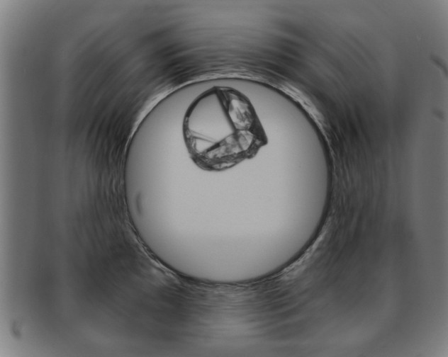 X0000091901097200709051059