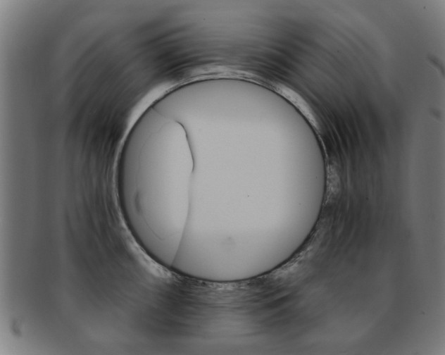 X0000091901098200709051059