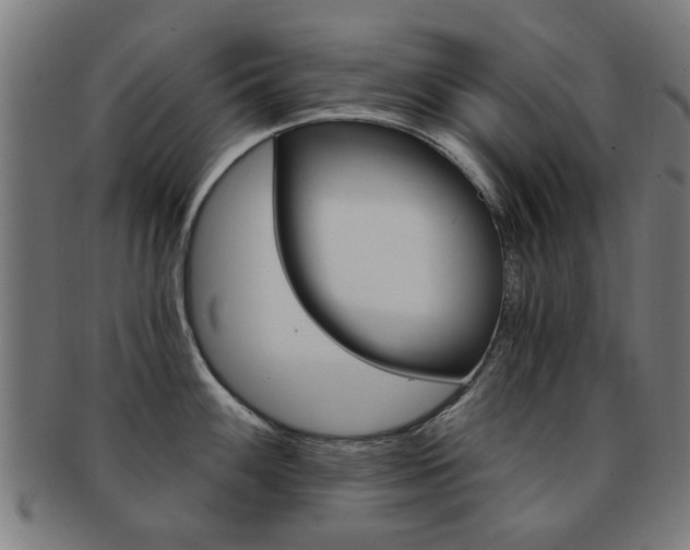 X0000091901100200709051059