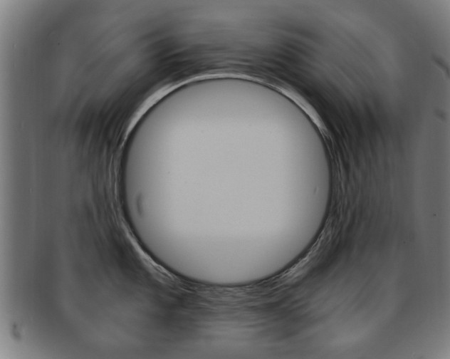 X0000091901101200709051059