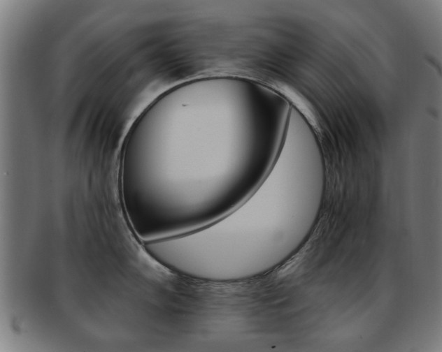 X0000091901102200709051059