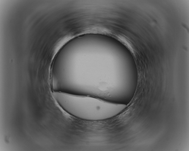X0000091901103200709051059