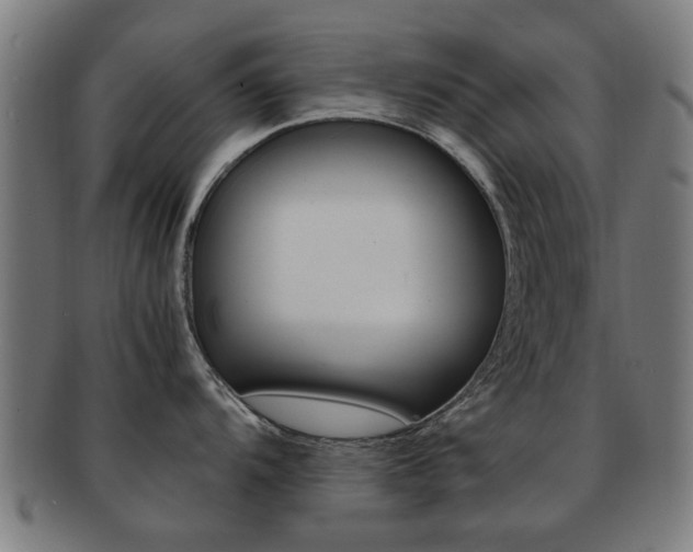 X0000091901104200709051059