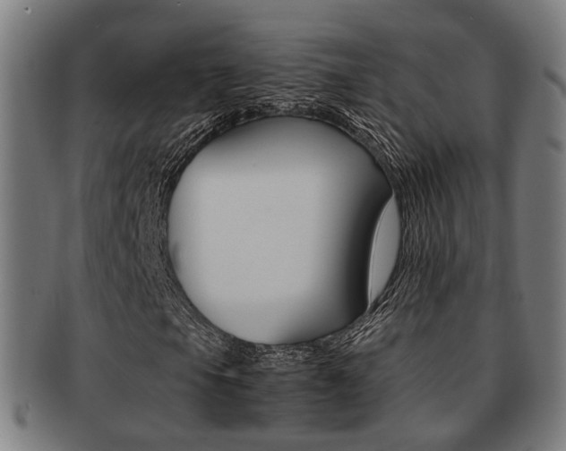 X0000091901105200709051058