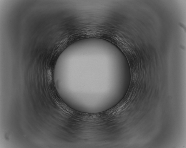 X0000091901106200709051058