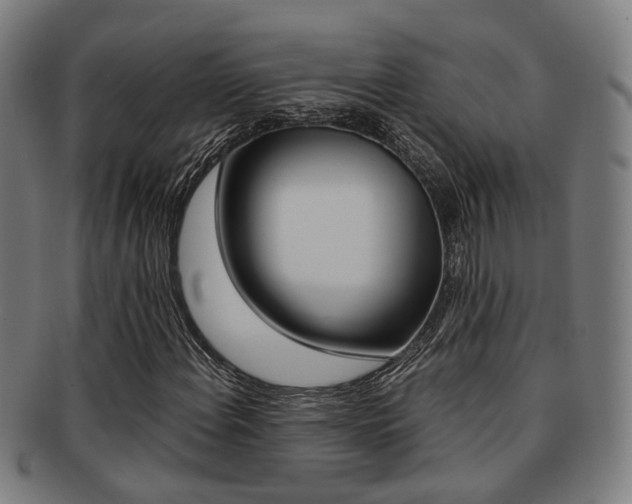 X0000091901108200709051058
