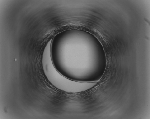 X0000091901110200709051058