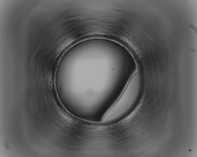 X0000091901113200709051058