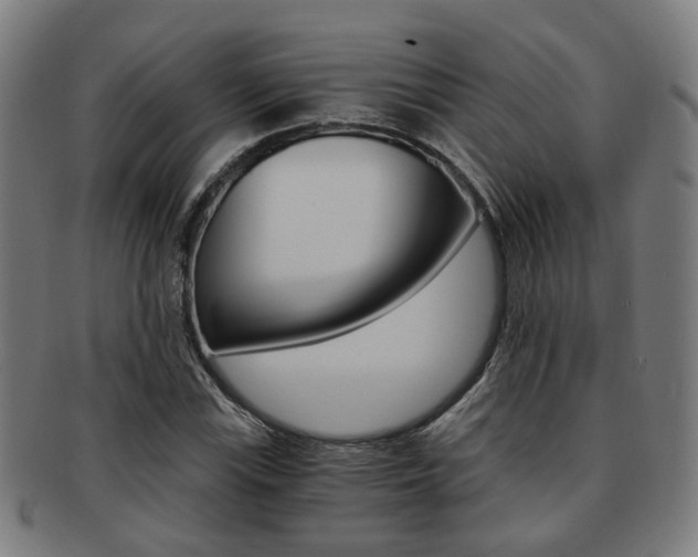 X0000091901115200709051058