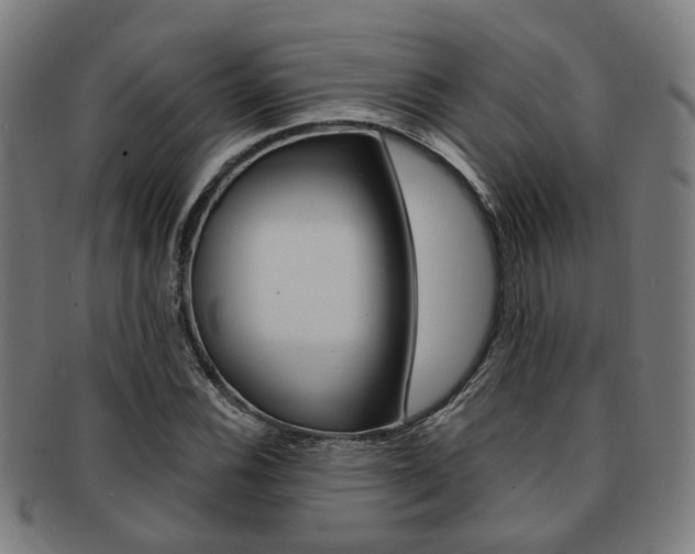 X0000091901116200709051058