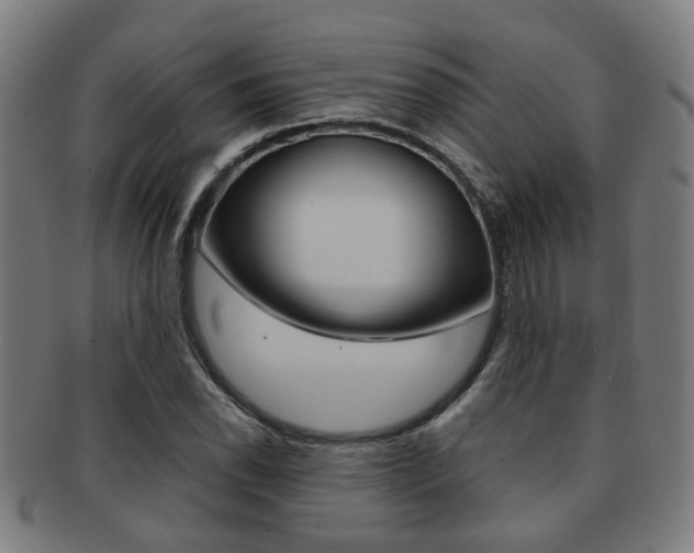 X0000091901118200709051058