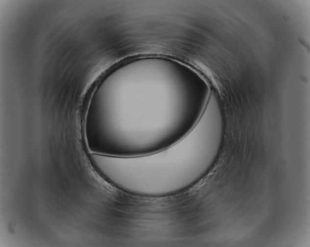 X0000091901120200709051058