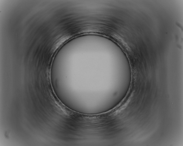 X0000091901121200709051058