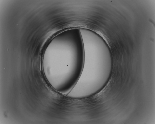 X0000091901123200709051058