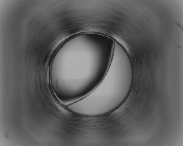 X0000091901127200709051058