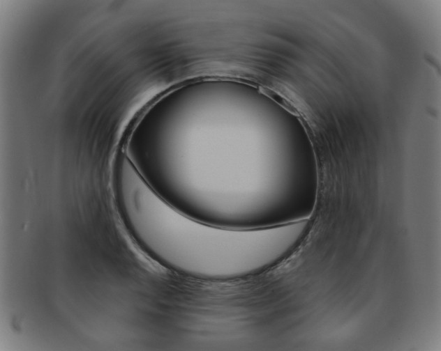 X0000091901128200709051058