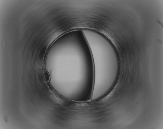 X0000091901129200709051058