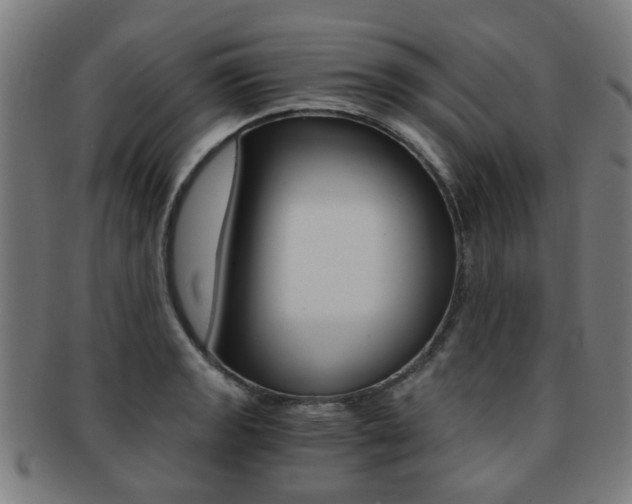 X0000091901133200709051059