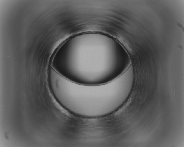 X0000091901134200709051059