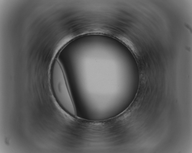 X0000091901135200709051059