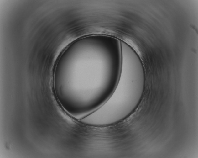 X0000091901136200709051059
