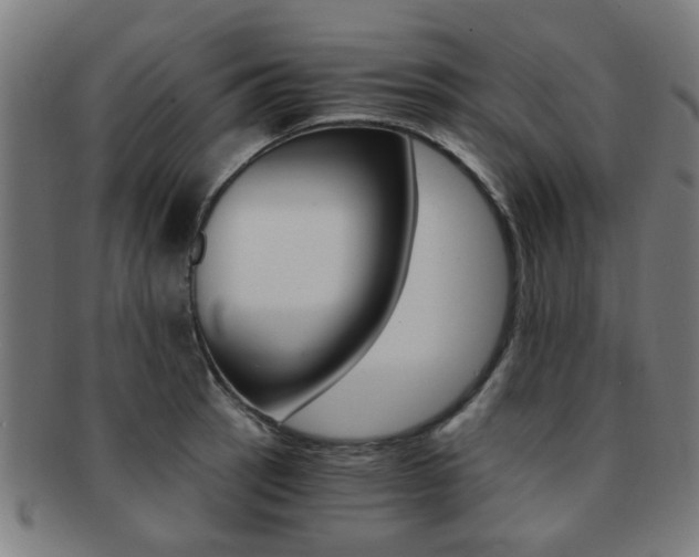 X0000091901137200709051059