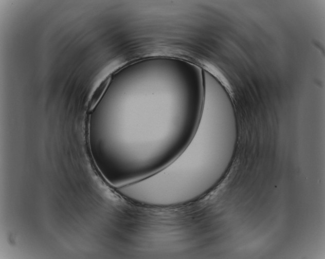 X0000091901138200709051059