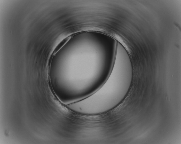 X0000091901140200709051059