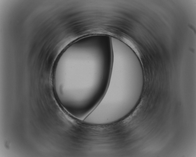 X0000091901141200709051059