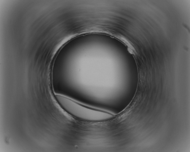 X0000091901142200709051059