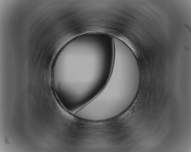 X0000091901143200709051059