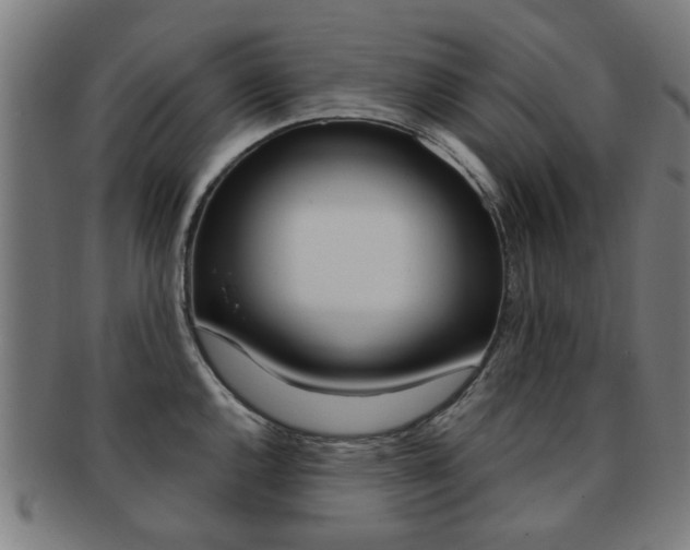 X0000091901144200709051059