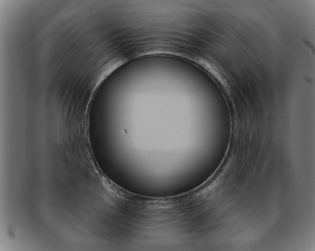 X0000091901145200709051059