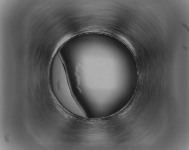 X0000091901146200709051059