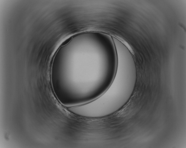 X0000091901148200709051059