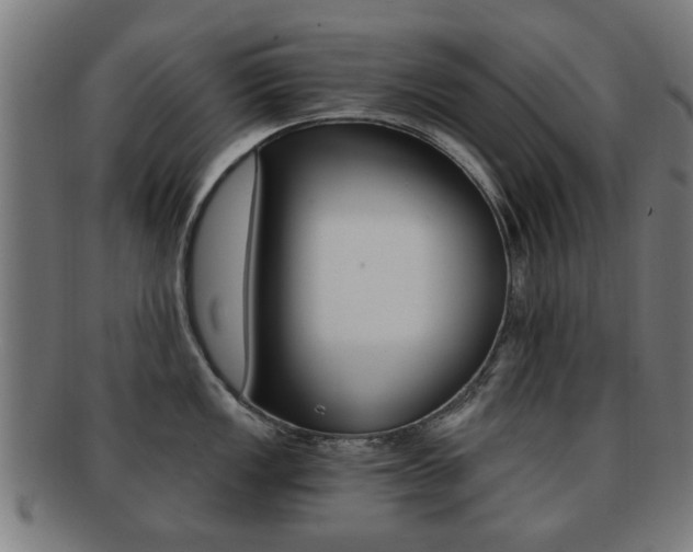 X0000091901149200709051059