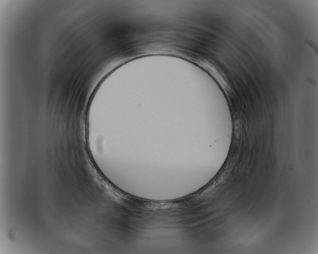 X0000091901150200709051059