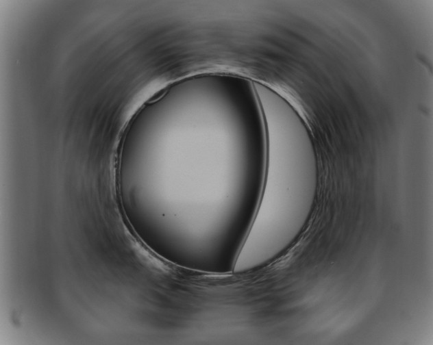 X0000091901151200709051059