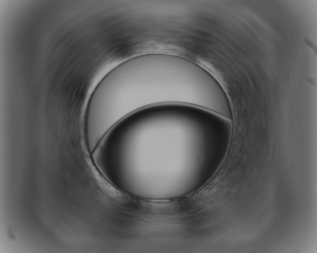 X0000091901152200709051059