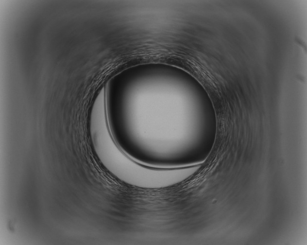 X0000091901153200709051058