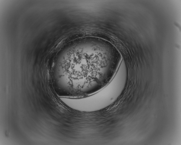 X0000091901155200709051058