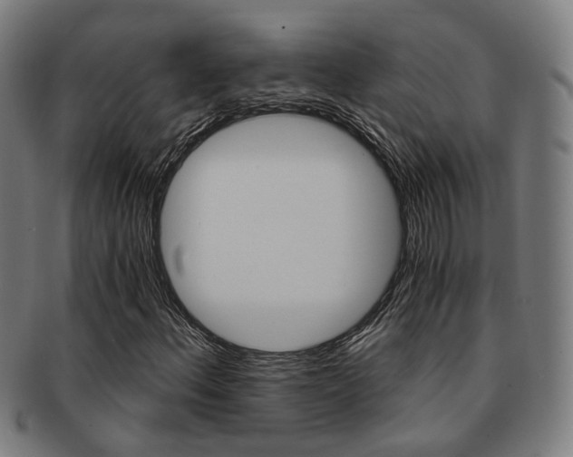 X0000091901156200709051058