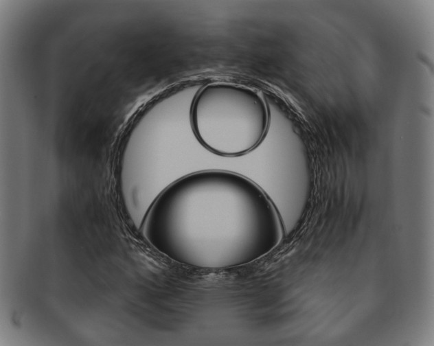 X0000091901160200709051058