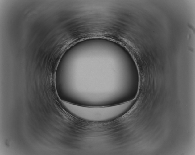 X0000091901161200709051058